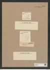 Coscinodiscus stelliger Grun. (de-Toni-Nr.: Genus 202, Species 5060) Zeichnungen Sammlung Grunow Nr. 8819 (NHMW-BOT-W0378434)